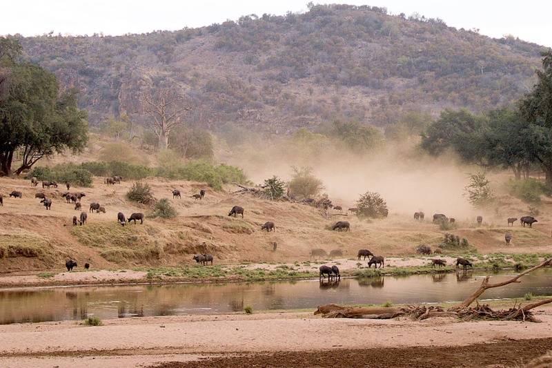 Photo of Pufuri Camp View